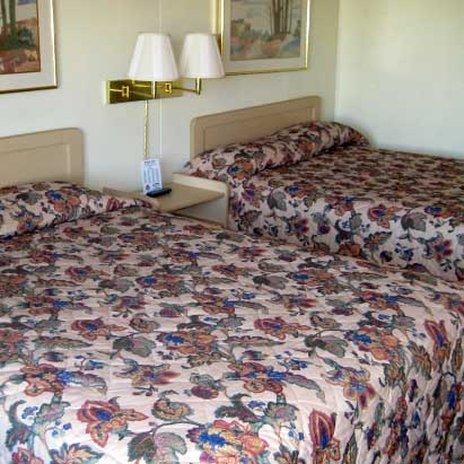 Plaza Inn Springfield Rom bilde